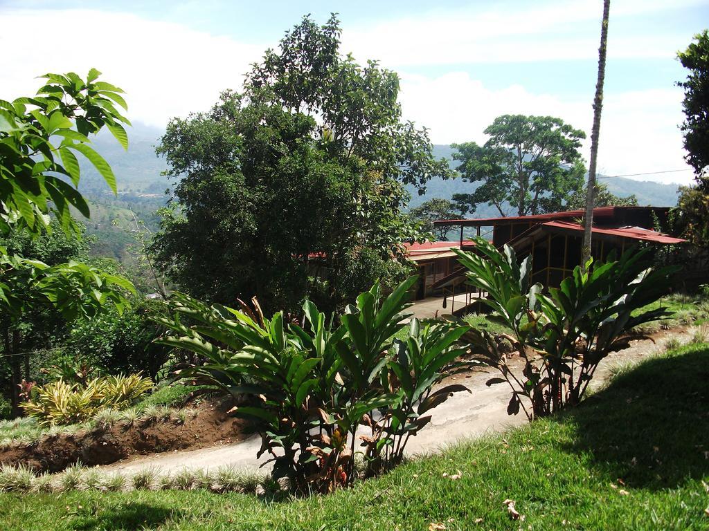 טוריאלבה Green Mountain And Lodge מראה חיצוני תמונה