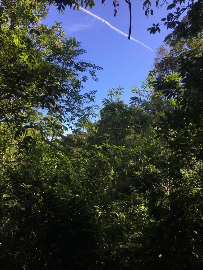 טוריאלבה Green Mountain And Lodge מראה חיצוני תמונה
