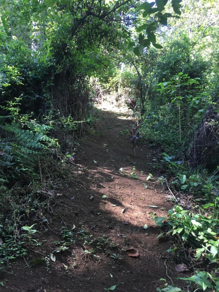 טוריאלבה Green Mountain And Lodge מראה חיצוני תמונה